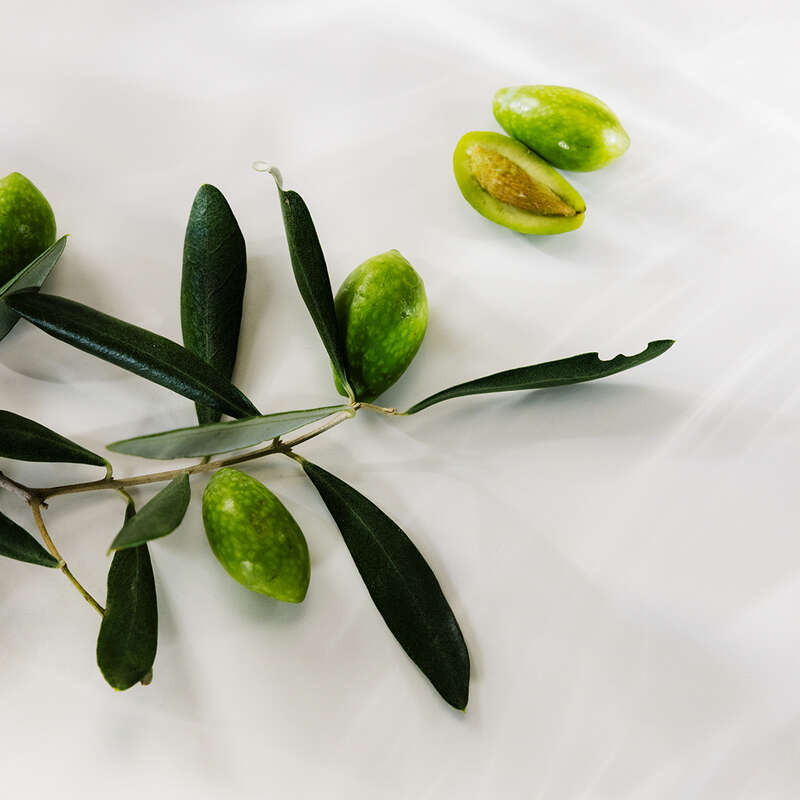 JOICO INNERJOI Olive 1080x1080