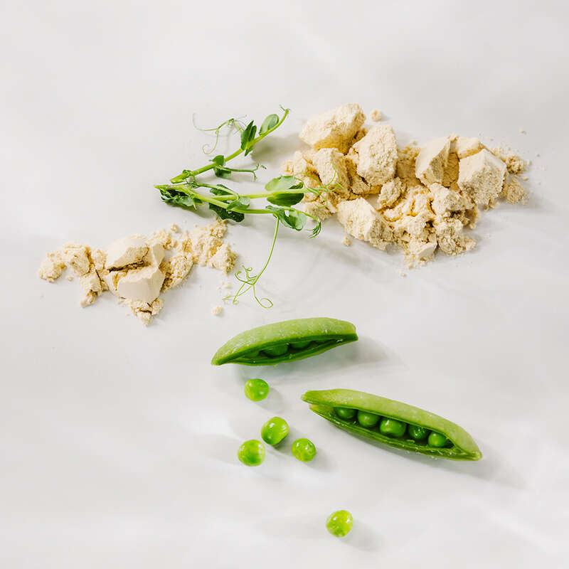 JOICO Inner JOI Vegan Protein 1063x1063